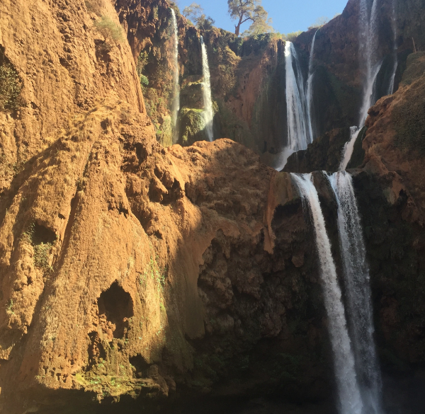 Sahara tours (20)