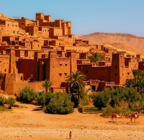 Sahara tours (24)